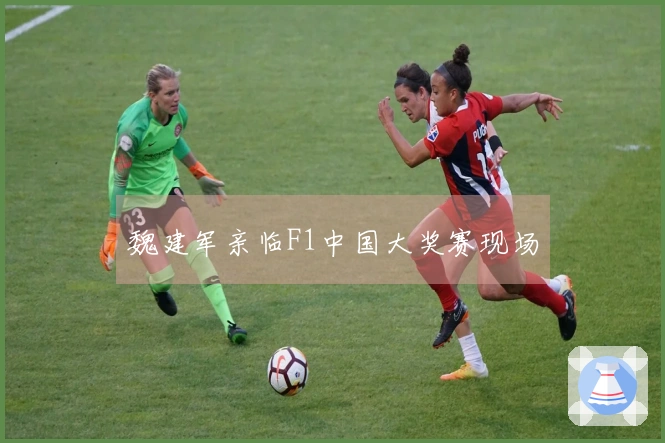 魏建军亲临F1中国大奖赛现场